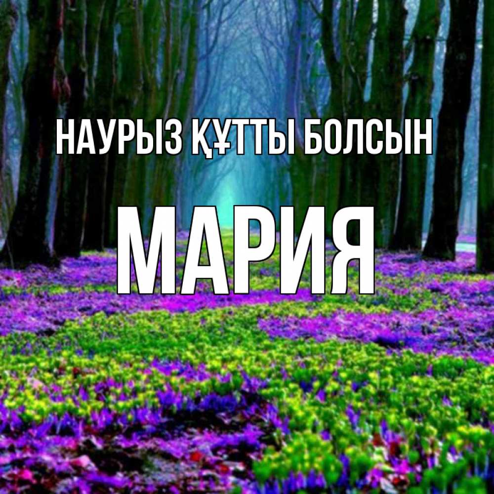 Күн сайын ашық хат с именем, МАРИЯ Наурыз құтты болсын фиолетовые цветы в лесу 1 Онлайн тегін жүктеп алу тілектері бар керемет карта 