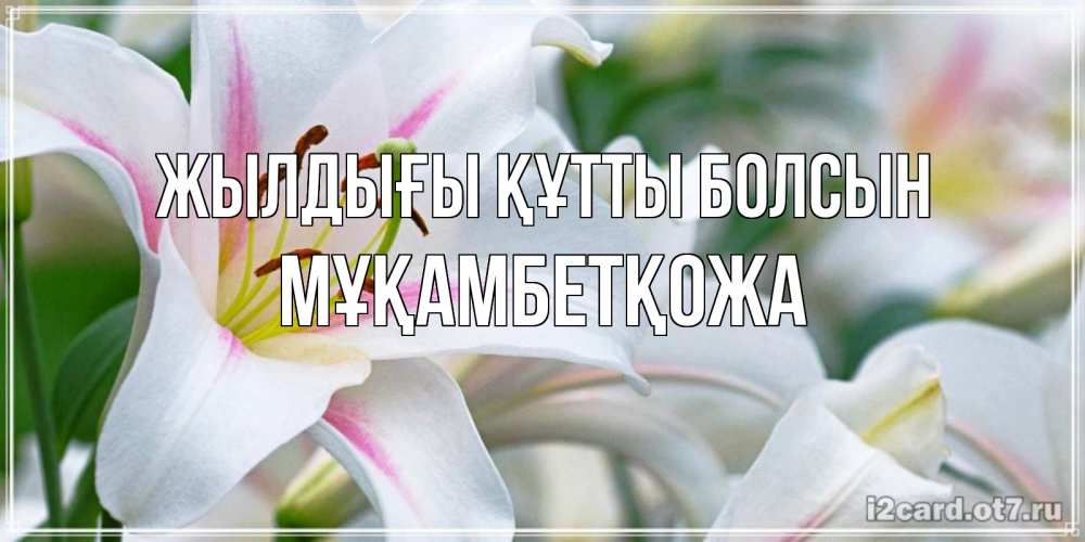 Күн сайын ашық хат с именем, Мұқамбетқожа Жылдығы құтты болсын открытка с белой лилией Онлайн тегін жүктеп алу тілектері бар керемет карта 