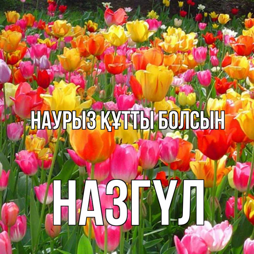 Күн сайын ашық хат с именем, НАЗГҮЛ Наурыз құтты болсын на наурыз  ура ура Онлайн тегін жүктеп алу тілектері бар керемет карта 