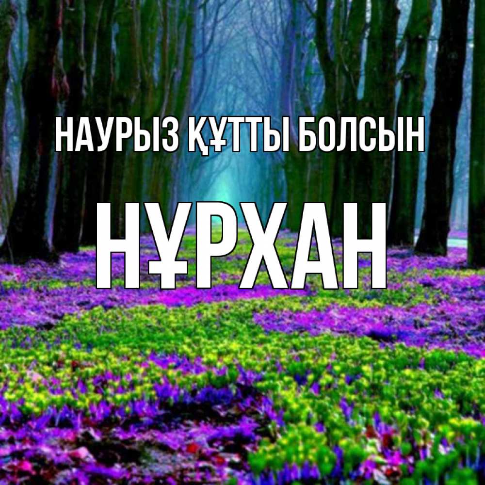 Күн сайын ашық хат с именем, НҰРХАН Наурыз құтты болсын фиолетовые цветы в лесу 1 Онлайн тегін жүктеп алу тілектері бар керемет карта 