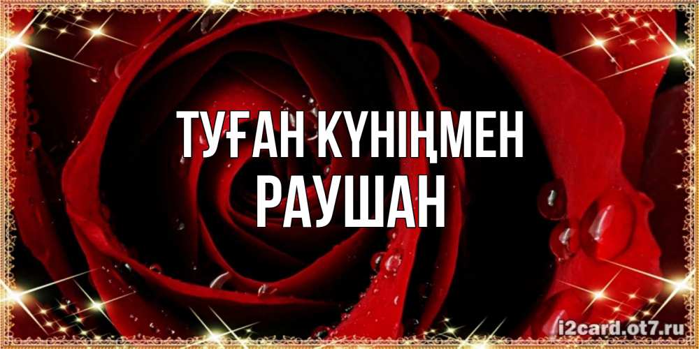 Күн сайын ашық хат с именем, РАУШАН Туған күніңмен цветок в росе на день рождения Онлайн тегін жүктеп алу тілектері бар керемет карта 