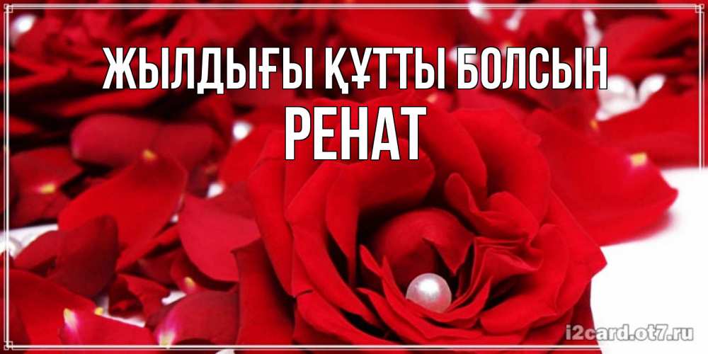 Күн сайын ашық хат с именем, РЕНАТ Жылдығы құтты болсын роза с жемчужиной на открытке для любимых Онлайн тегін жүктеп алу тілектері бар керемет карта 