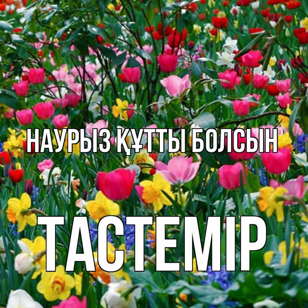 Күн сайын ашық хат с именем, ТАСТЕМІР Наурыз құтты болсын с наурызом поздравления для женщины Онлайн тегін жүктеп алу тілектері бар керемет карта 