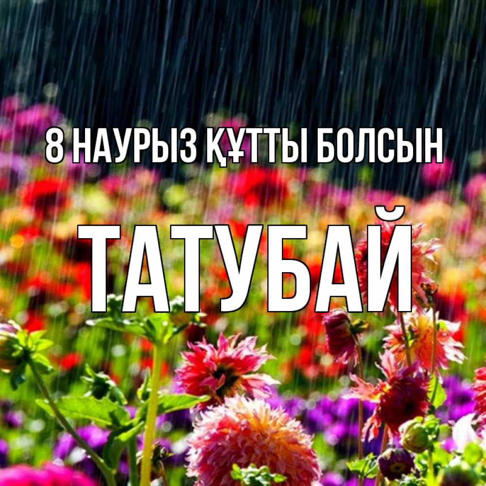 Күн сайын ашық хат с именем, ТАТУБАЙ 8 наурыз құтты болсын цветы под дождиком к международному женскому дню Онлайн тегін жүктеп алу тілектері бар керемет карта 
