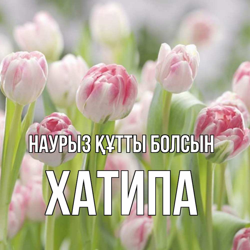 Күн сайын ашық хат с именем, ХАТИПА Наурыз құтты болсын цветы Онлайн тегін жүктеп алу тілектері бар керемет карта 