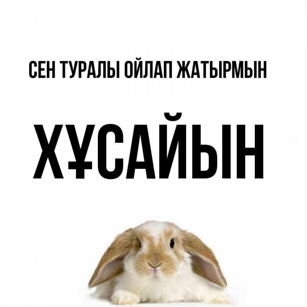 Күн сайын ашық хат с именем, ХҰСАЙЫН Сен туралы ойлап жатырмын подписать своими руками онлайн Онлайн тегін жүктеп алу тілектері бар керемет карта 
