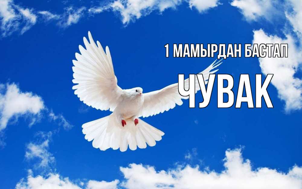 Күн сайын ашық хат с именем, Чувак 1 мамырдан бастап С 1 мая 1 Онлайн тегін жүктеп алу тілектері бар керемет карта 