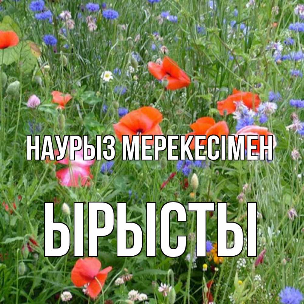 Күн сайын ашық хат с именем, ЫРЫСТЫ Наурыз мерекесімен праздник весны наурыз супер открытка Онлайн тегін жүктеп алу тілектері бар керемет карта 