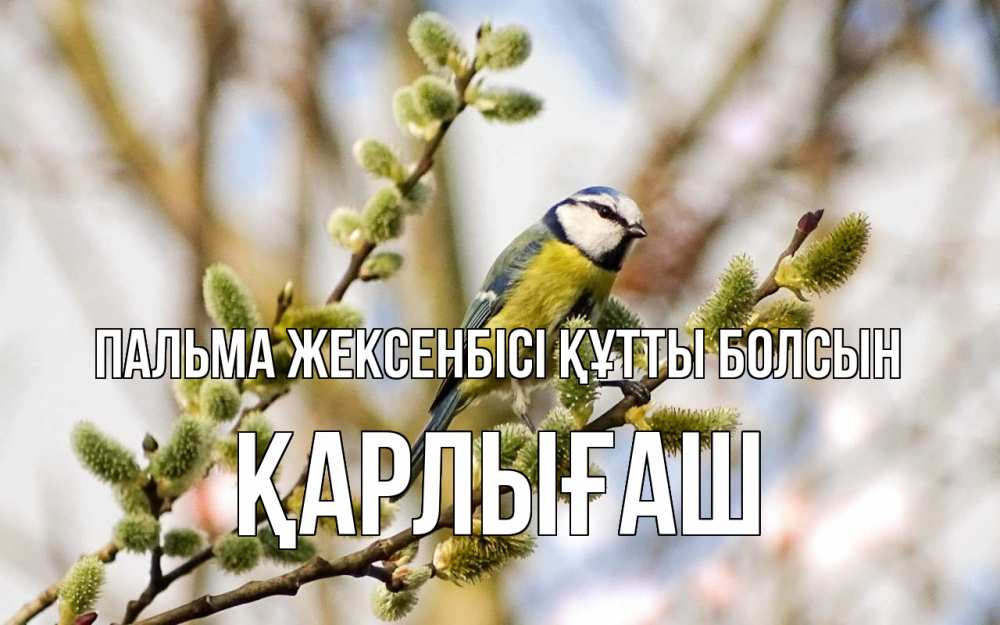 Күн сайын ашық хат с именем, ҚАРЛЫҒАШ Пальма жексенбісі құтты болсын верба Онлайн тегін жүктеп алу тілектері бар керемет карта 