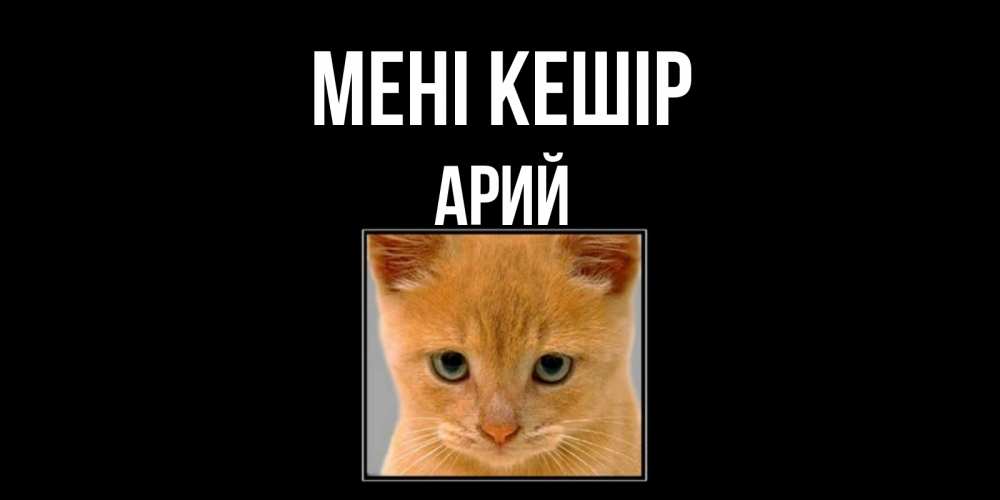Күн сайын ашық хат с именем, Арий Мені кешір рыжий грустный кот просит прощения Онлайн тегін жүктеп алу тілектері бар керемет карта 