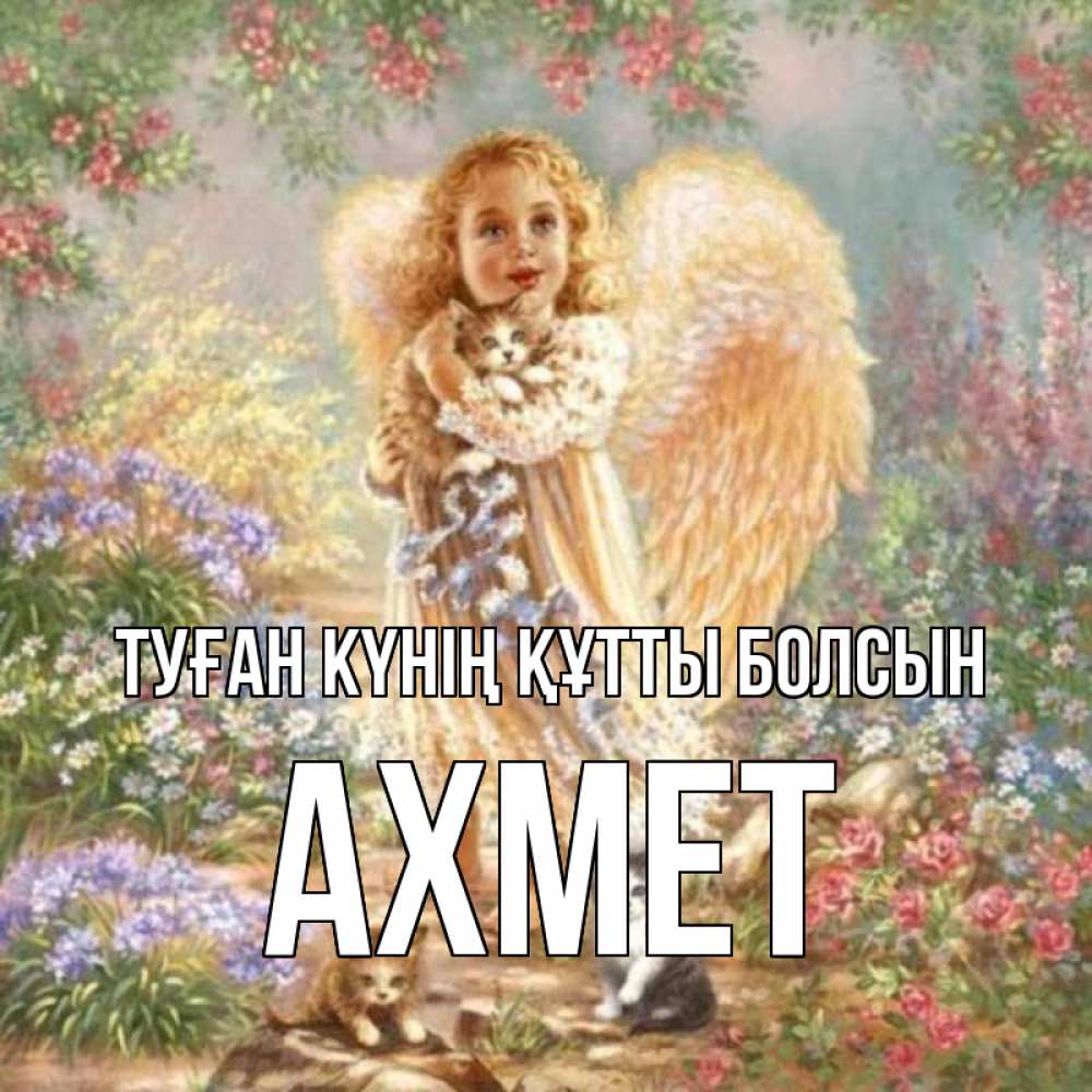 Күн сайын ашық хат с именем, Ахмет Туған күнің құтты болсын держит котенка Онлайн тегін жүктеп алу тілектері бар керемет карта 