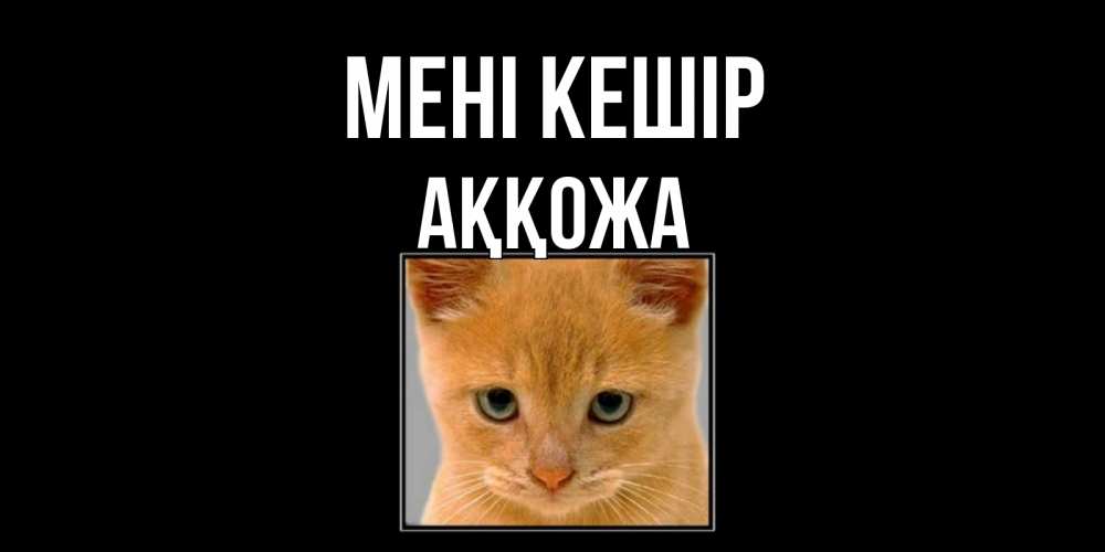 Күн сайын ашық хат с именем, Аққожа Мені кешір рыжий грустный кот просит прощения Онлайн тегін жүктеп алу тілектері бар керемет карта 