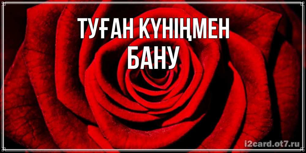 Күн сайын ашық хат с именем, БАНУ Туған күніңмен алая роза Онлайн тегін жүктеп алу тілектері бар керемет карта 