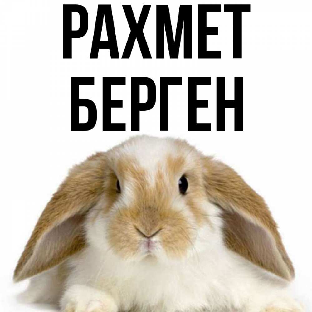 Күн сайын ашық хат с именем, Берген рахмет коричнево белый заяц Онлайн тегін жүктеп алу тілектері бар керемет карта 