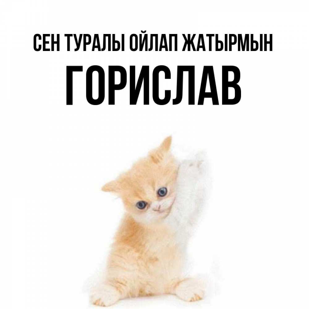 Күн сайын ашық хат с именем, Горислав Сен туралы ойлап жатырмын зверушки и милота Онлайн тегін жүктеп алу тілектері бар керемет карта 