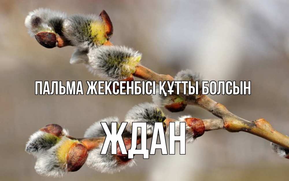 Күн сайын ашық хат с именем, Ждан Пальма жексенбісі құтты болсын Верба Онлайн тегін жүктеп алу тілектері бар керемет карта 