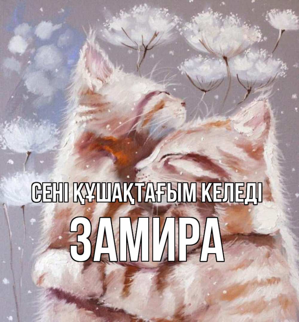 Күн сайын ашық хат с именем, ЗАМИРА сені құшақтағым келеді Море и горы Онлайн тегін жүктеп алу тілектері бар керемет карта 