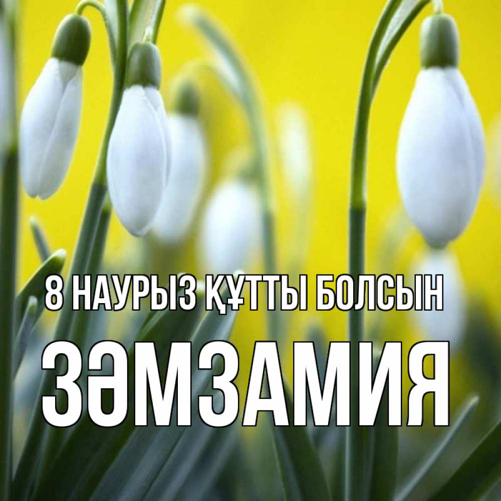 Күн сайын ашық хат с именем, ЗӘМЗАМИЯ 8 наурыз құтты болсын весенние цветы Онлайн тегін жүктеп алу тілектері бар керемет карта 