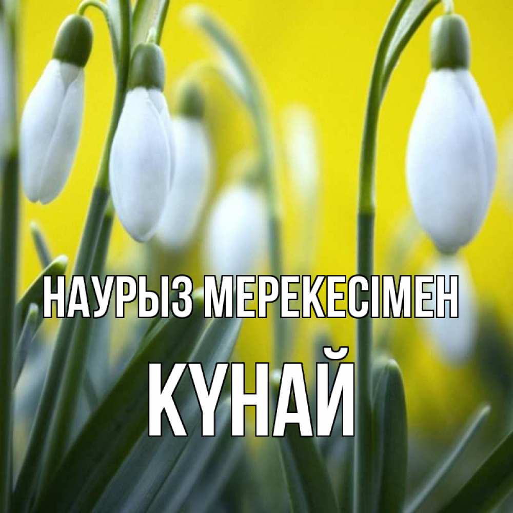 Күн сайын ашық хат с именем, КҮНАЙ Наурыз мерекесімен весенние цветы Онлайн тегін жүктеп алу тілектері бар керемет карта 