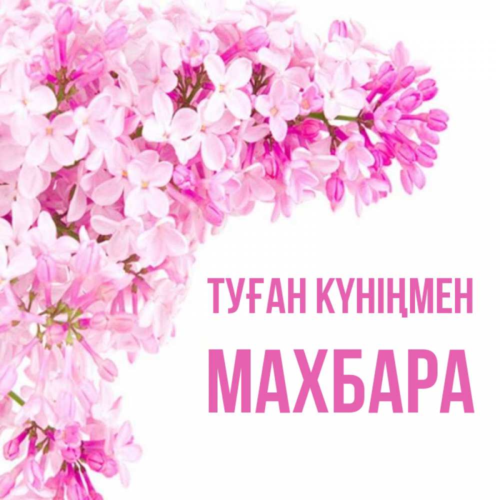 Күн сайын ашық хат с именем, МАХБАРА Туған күніңмен Сирень на белом фоне Онлайн тегін жүктеп алу тілектері бар керемет карта 