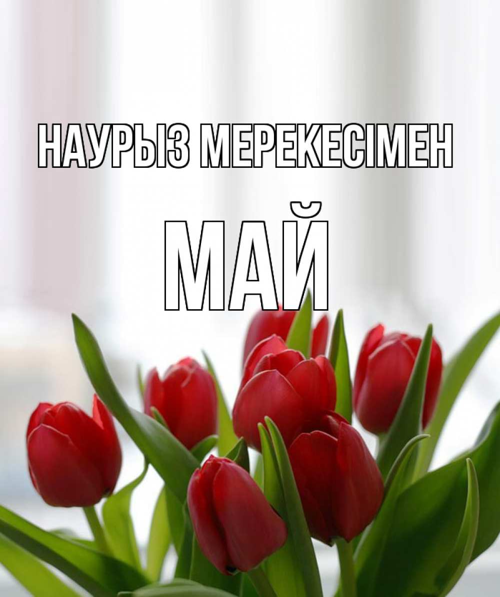 Күн сайын ашық хат с именем, Май Наурыз мерекесімен полевые цветы Онлайн тегін жүктеп алу тілектері бар керемет карта 