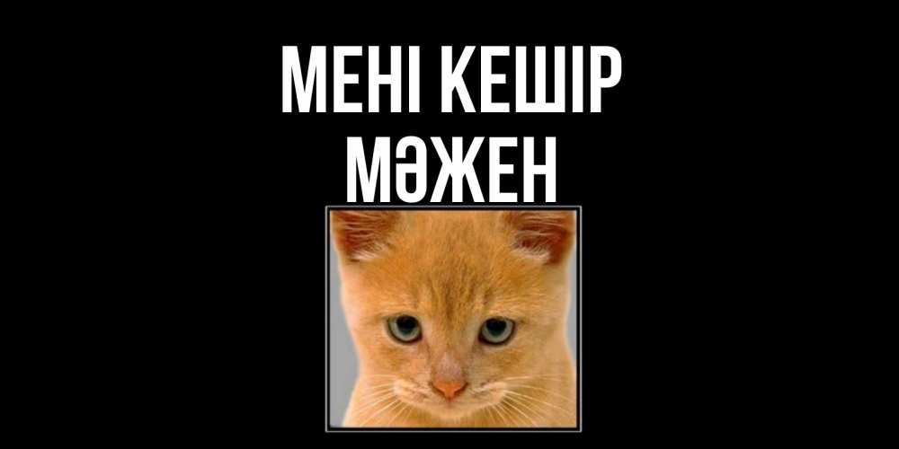Күн сайын ашық хат с именем, МӘЖЕН Мені кешір рыжий грустный кот просит прощения Онлайн тегін жүктеп алу тілектері бар керемет карта 