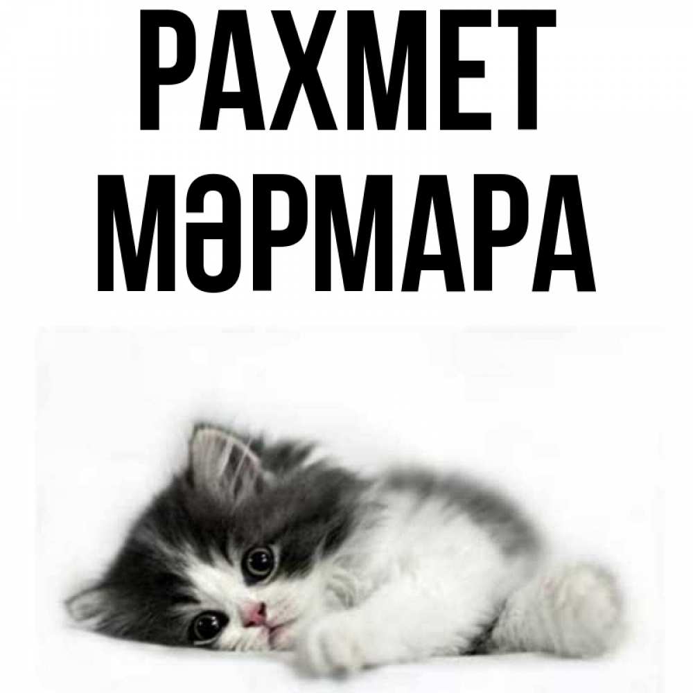 Күн сайын ашық хат с именем, МӘРМАРА рахмет черный и белый кот Онлайн тегін жүктеп алу тілектері бар керемет карта 