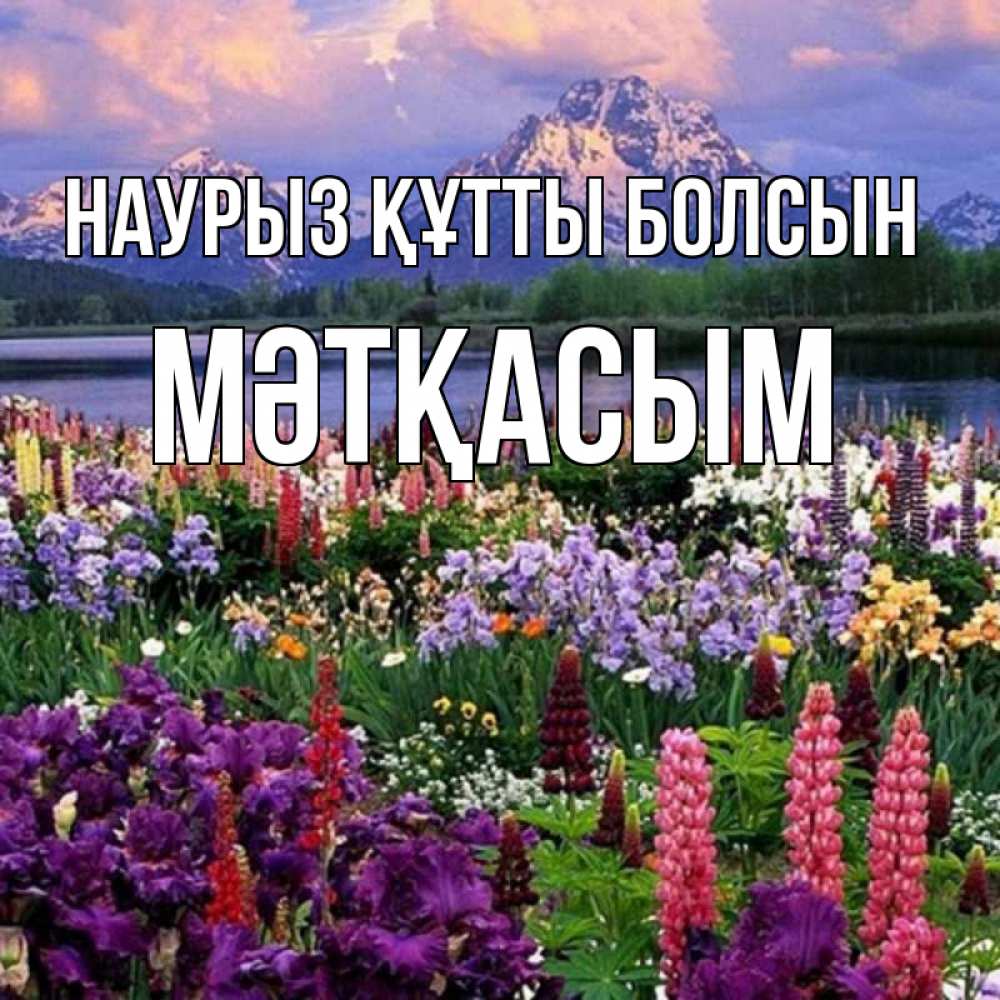 Күн сайын ашық хат с именем, МӘТҚАСЫМ Наурыз құтты болсын наурыз Онлайн тегін жүктеп алу тілектері бар керемет карта 