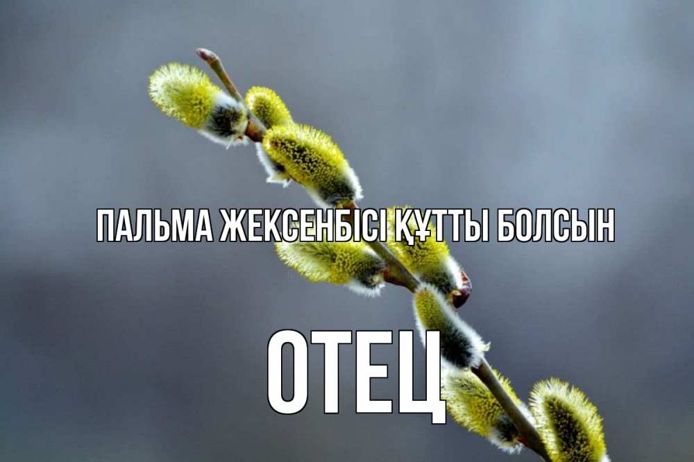 Күн сайын ашық хат с именем, Отец Пальма жексенбісі құтты болсын верба Онлайн тегін жүктеп алу тілектері бар керемет карта 