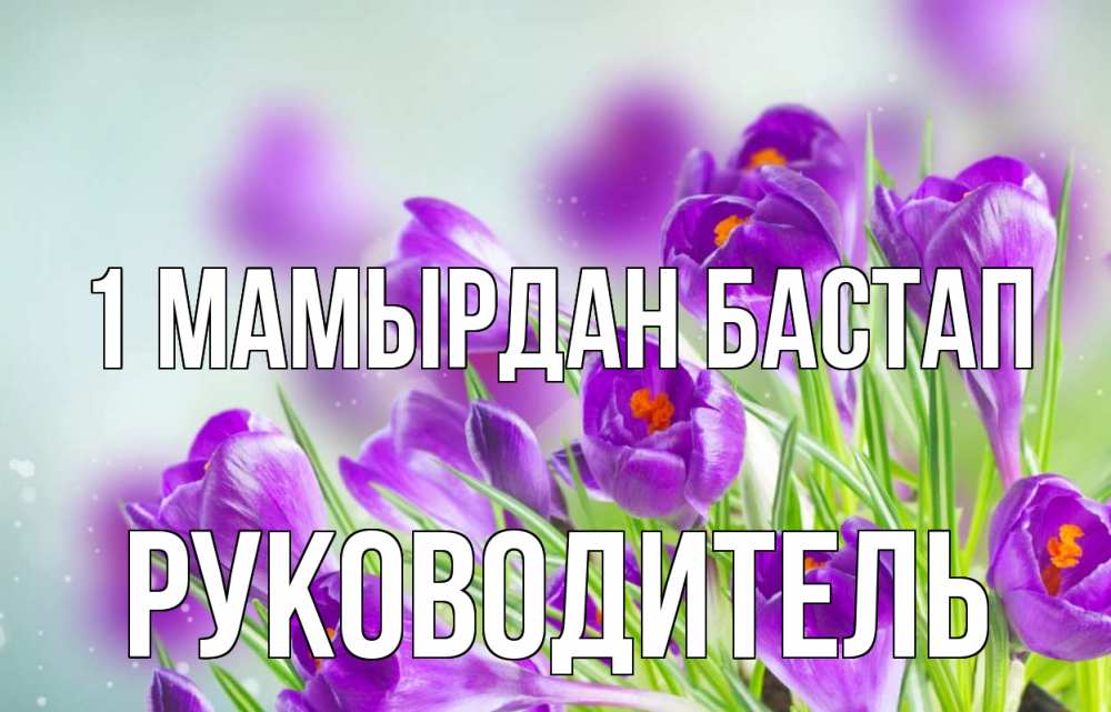 Күн сайын ашық хат с именем, Руководитель 1 мамырдан бастап 1 мая Онлайн тегін жүктеп алу тілектері бар керемет карта 