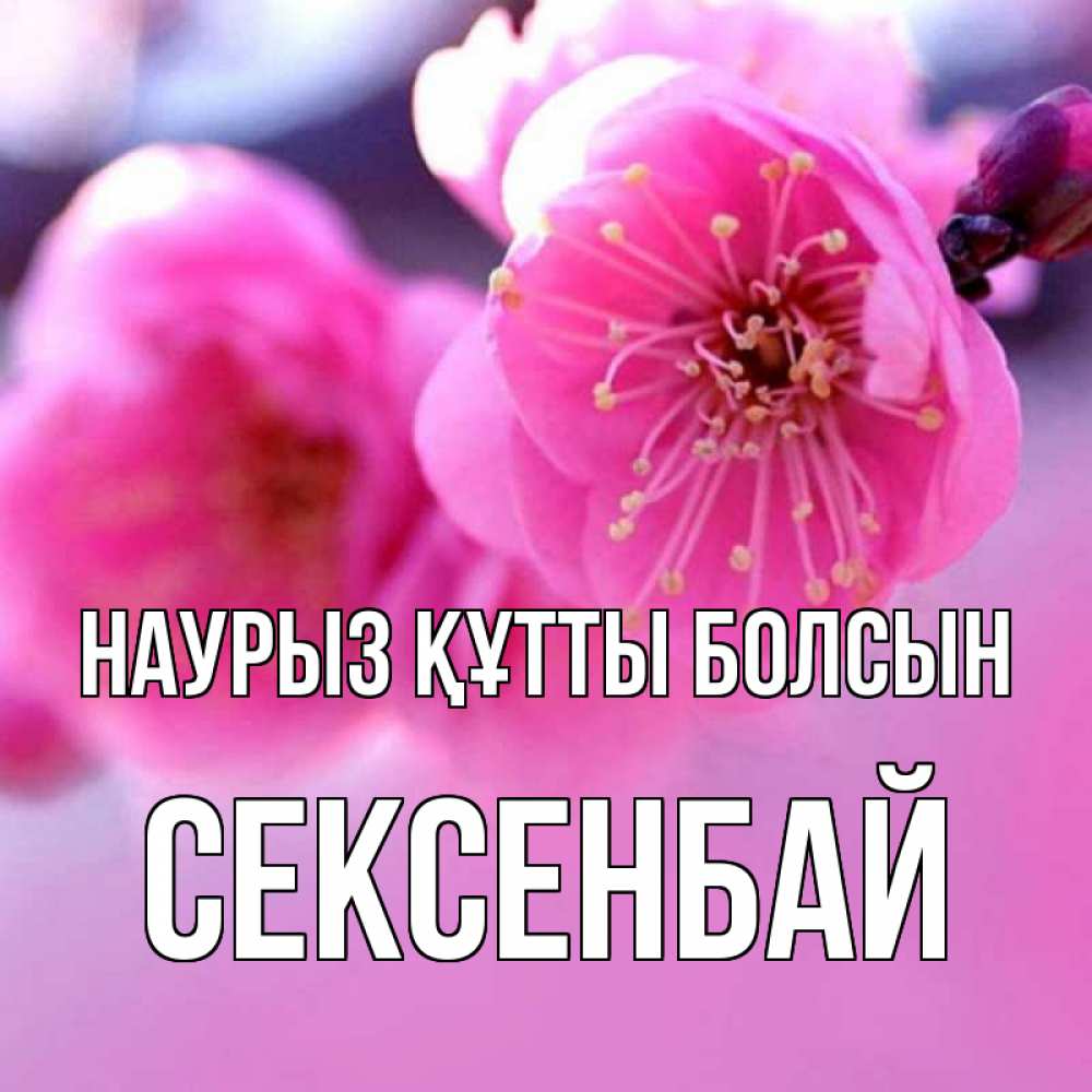 Күн сайын ашық хат с именем, СЕКСЕНБАЙ Наурыз құтты болсын наурыз мейрам Онлайн тегін жүктеп алу тілектері бар керемет карта 