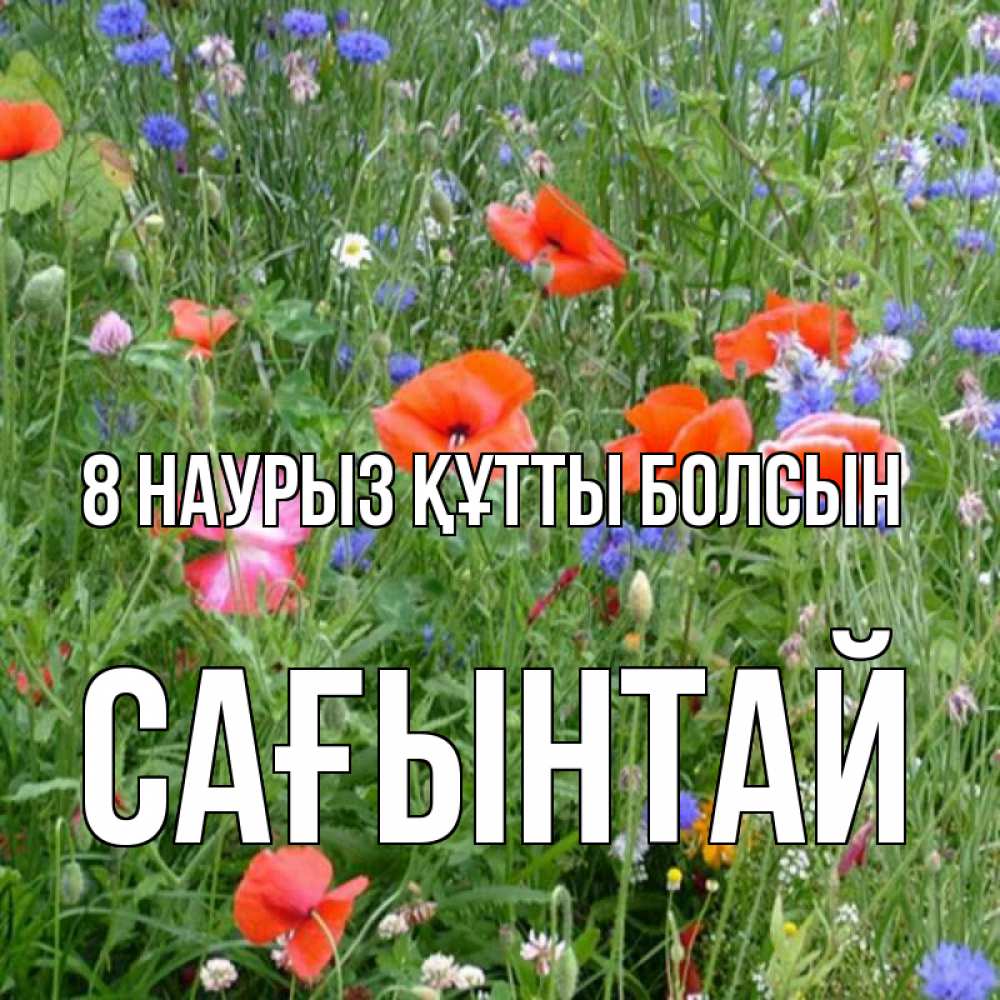 Күн сайын ашық хат с именем, Сағынтай 8 наурыз құтты болсын международный женский день 4 Онлайн тегін жүктеп алу тілектері бар керемет карта 
