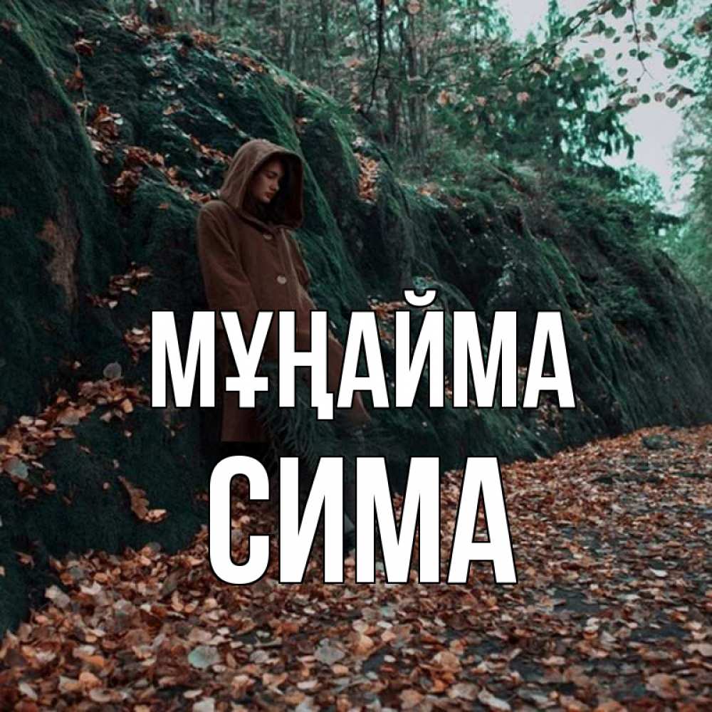 Күн сайын ашық хат с именем, Сима Мұңайма осенний лес Онлайн тегін жүктеп алу тілектері бар керемет карта 