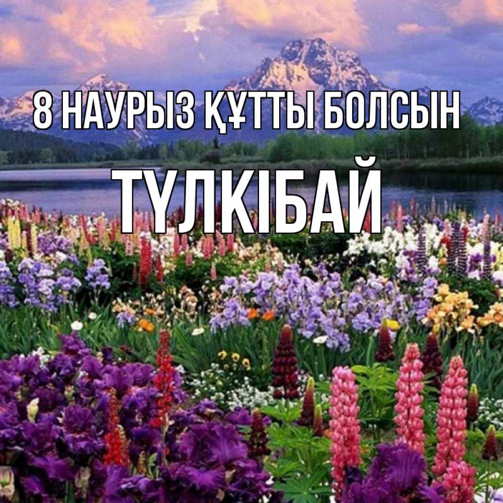 Күн сайын ашық хат с именем, ТҮЛКІБАЙ 8 наурыз құтты болсын международный женский день Онлайн тегін жүктеп алу тілектері бар керемет карта 