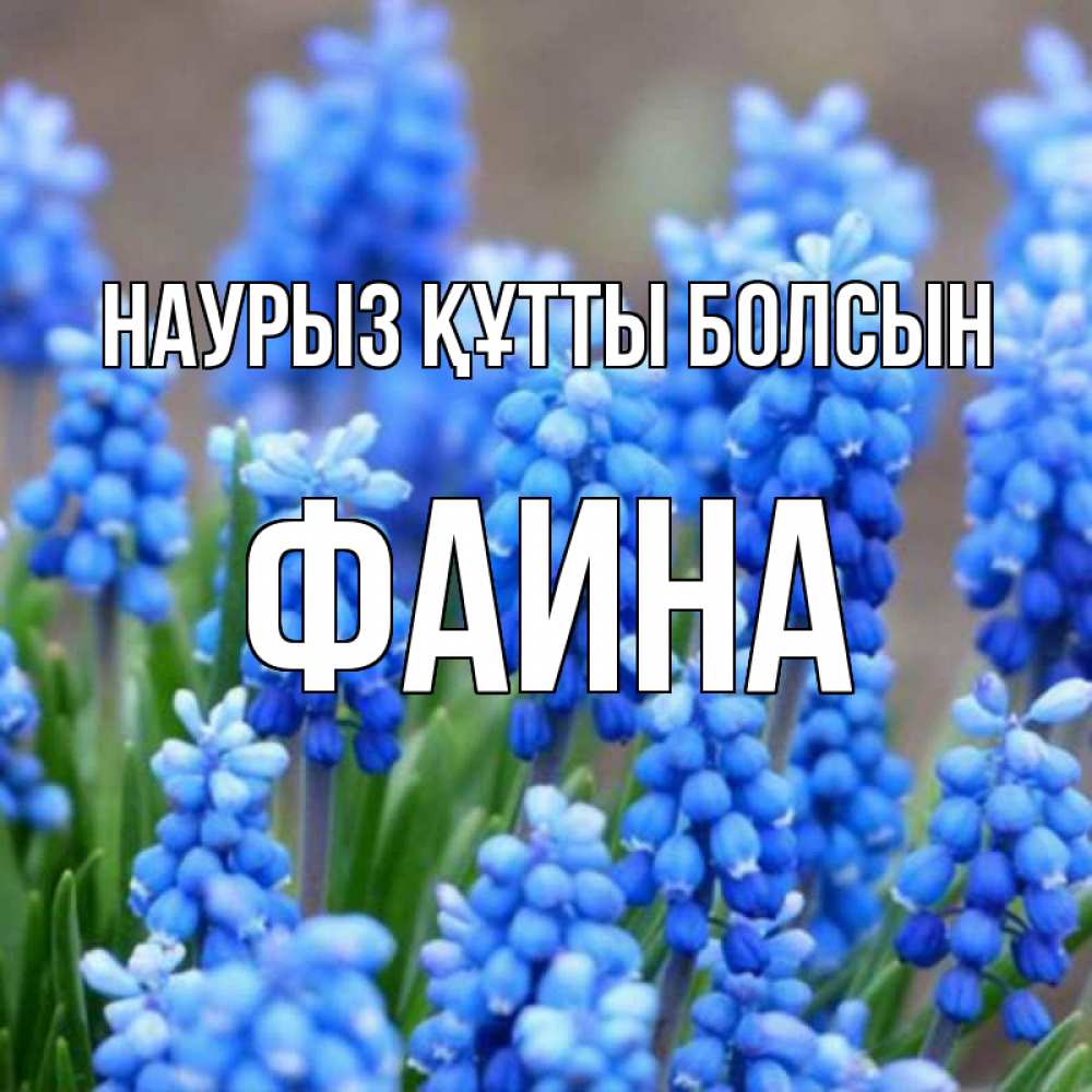 Күн сайын ашық хат с именем, Фаина Наурыз құтты болсын Поздравительная открытка для женщин с цветами на праздничную дату Онлайн тегін жүктеп алу тілектері бар керемет карта 