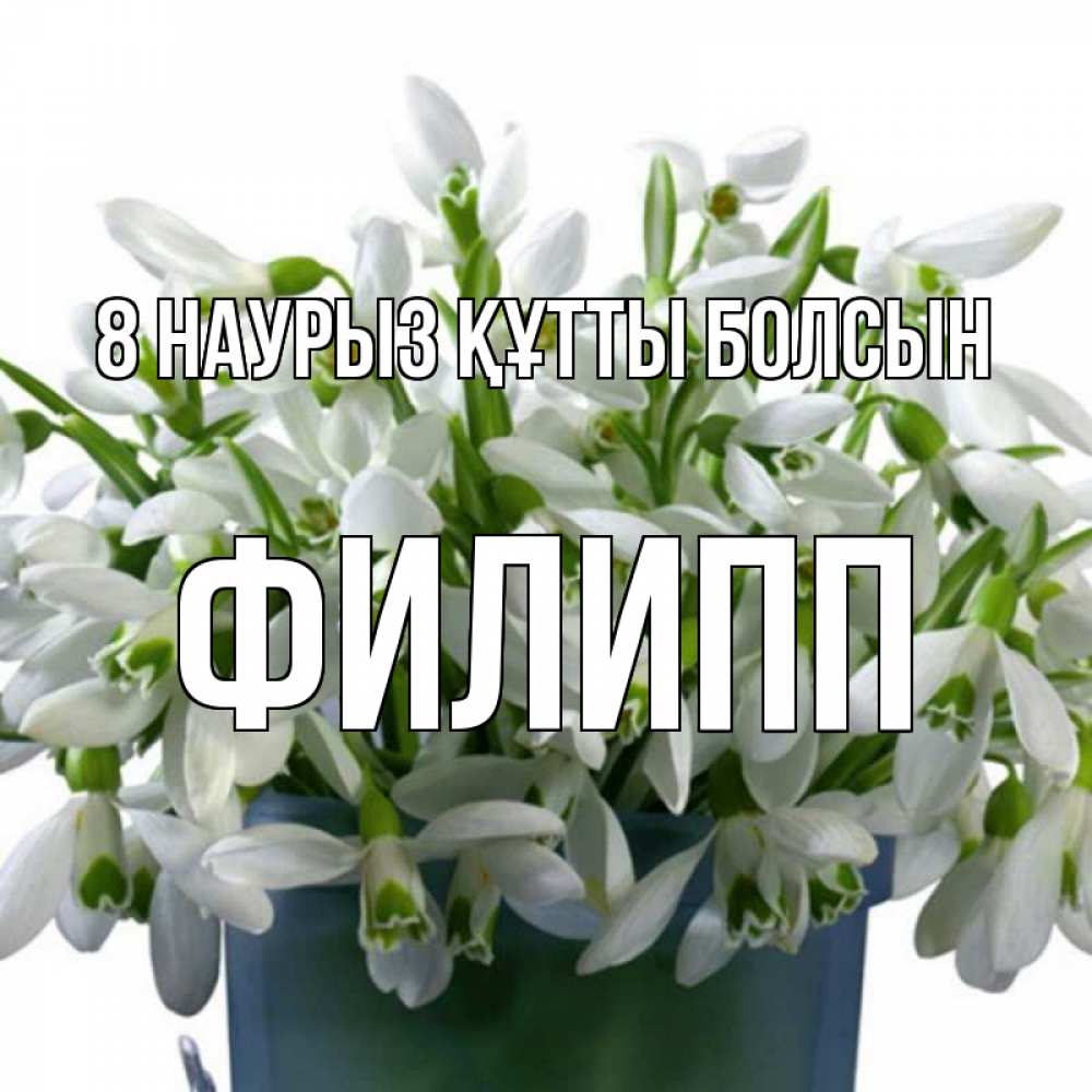 Күн сайын ашық хат с именем, Филипп 8 наурыз құтты болсын цветы к международному женскому дню Онлайн тегін жүктеп алу тілектері бар керемет карта 