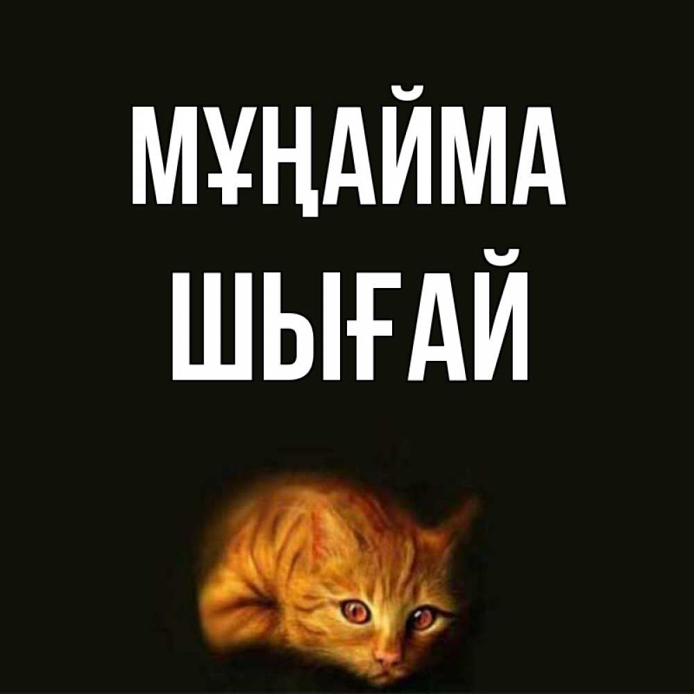 Күн сайын ашық хат с именем, ШЫҒАЙ Мұңайма лежащий кот в темноте Онлайн тегін жүктеп алу тілектері бар керемет карта 