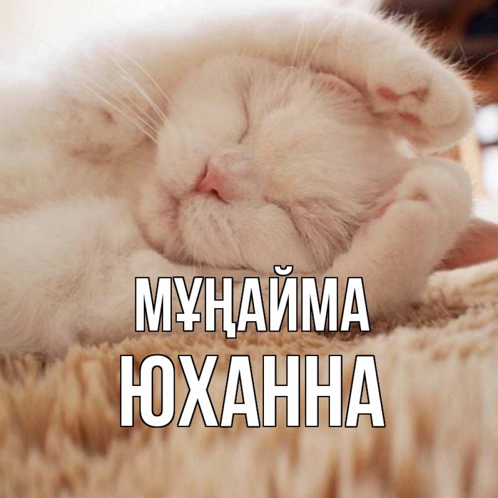 Күн сайын ашық хат с именем, Юханна Мұңайма белый кот Онлайн тегін жүктеп алу тілектері бар керемет карта 