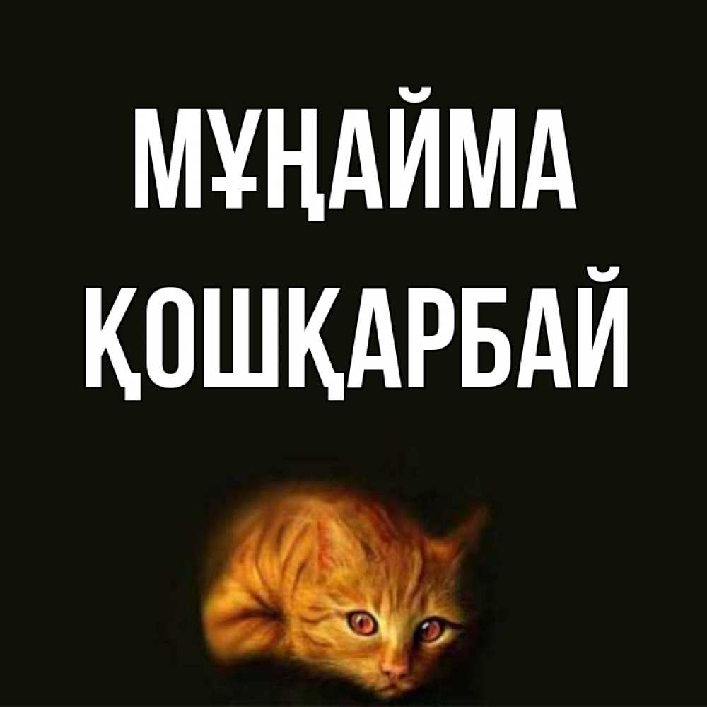 Күн сайын ашық хат с именем, ҚОШҚАРБАЙ Мұңайма лежащий кот в темноте Онлайн тегін жүктеп алу тілектері бар керемет карта 