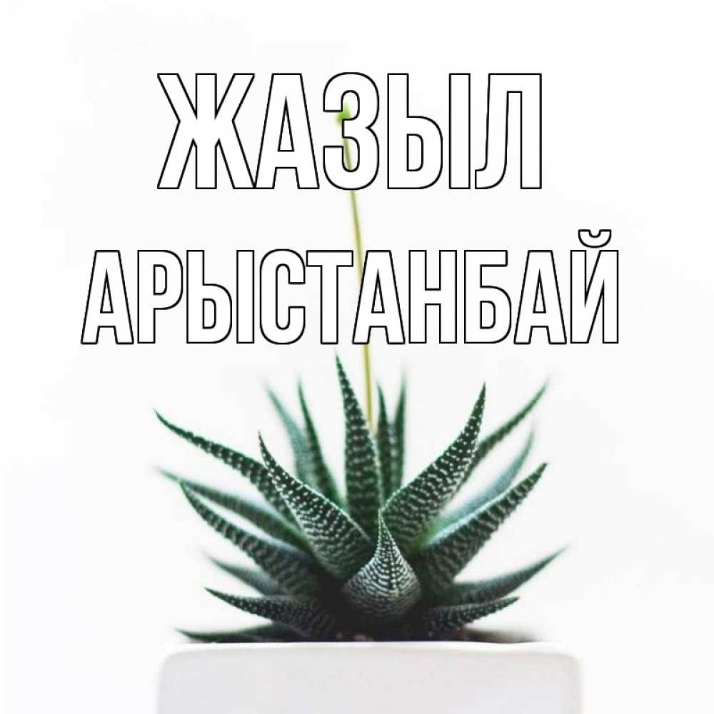 Күн сайын ашық хат с именем, Арыстанбай Жазыл короче это непонятная колючка Онлайн тегін жүктеп алу тілектері бар керемет карта 