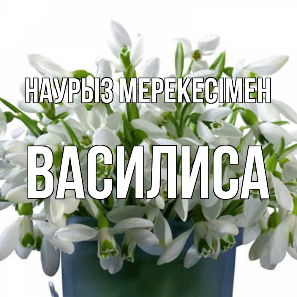 Күн сайын ашық хат с именем, Василиса Наурыз мерекесімен цветы к наурызу новый год в Казахстане Онлайн тегін жүктеп алу тілектері бар керемет карта 