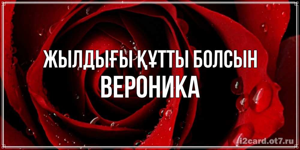 Күн сайын ашық хат с именем, Вероника Жылдығы құтты болсын крупная бордовая роза Онлайн тегін жүктеп алу тілектері бар керемет карта 