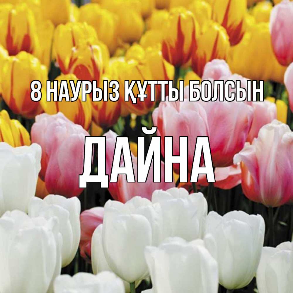 Күн сайын ашық хат с именем, Дайна 8 наурыз құтты болсын разноцветные цветы Онлайн тегін жүктеп алу тілектері бар керемет карта 