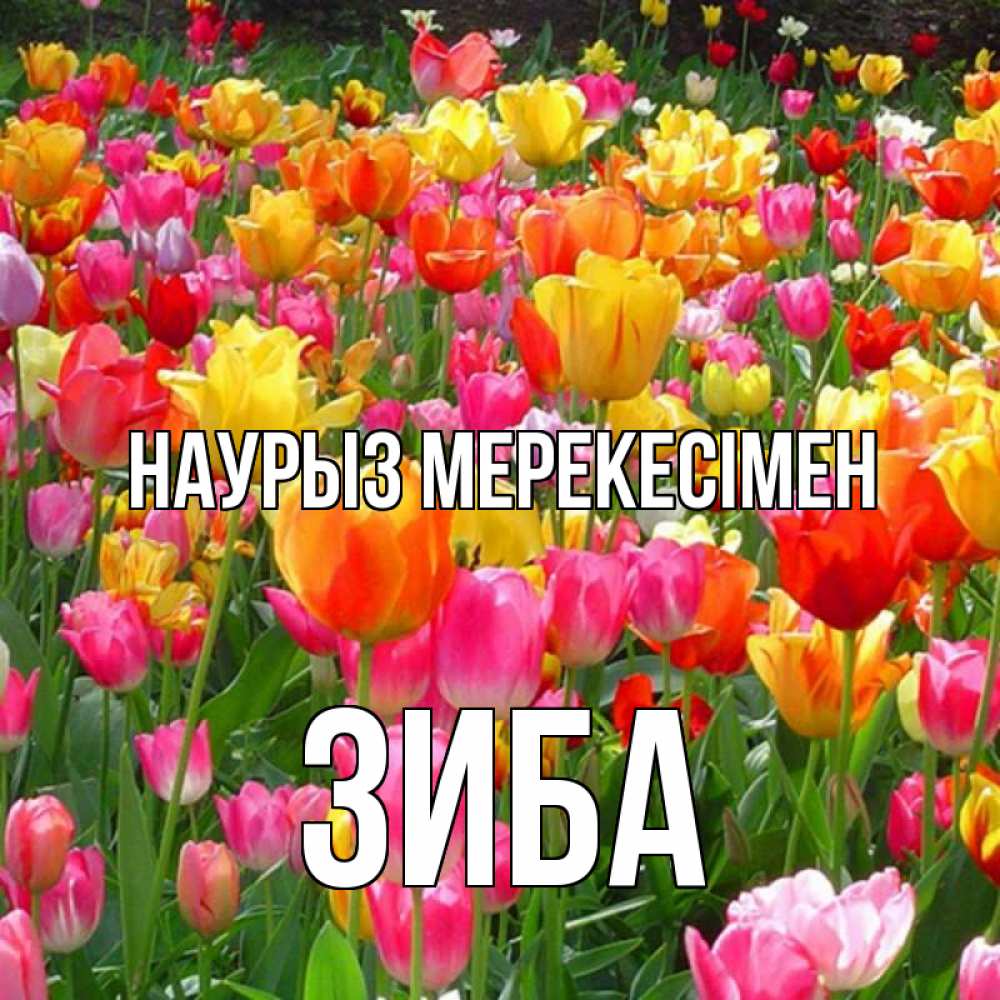 Күн сайын ашық хат с именем, ЗИБА Наурыз мерекесімен праздник весны наурыз 4 Онлайн тегін жүктеп алу тілектері бар керемет карта 