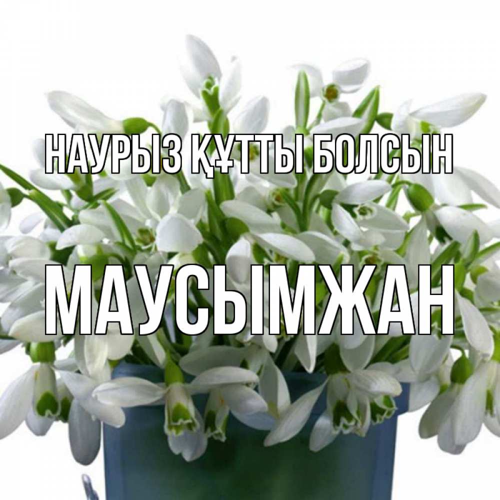 Күн сайын ашық хат с именем, МАУСЫМЖАН Наурыз құтты болсын цветы к наурызу Онлайн тегін жүктеп алу тілектері бар керемет карта 