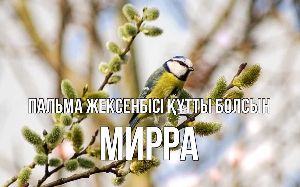 Күн сайын ашық хат с именем, Мирра Пальма жексенбісі құтты болсын верба Онлайн тегін жүктеп алу тілектері бар керемет карта 
