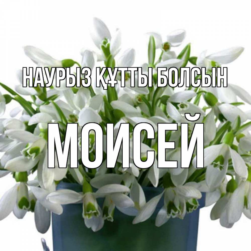 Күн сайын ашық хат с именем, Моисей Наурыз құтты болсын цветы к наурызу Онлайн тегін жүктеп алу тілектері бар керемет карта 