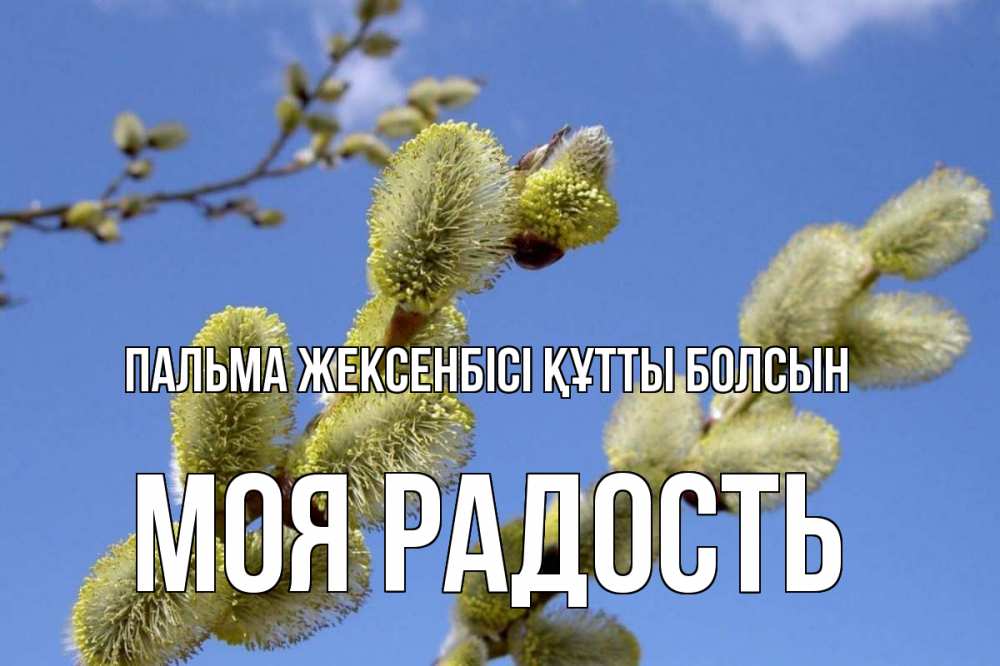 Күн сайын ашық хат с именем, Моя-радость Пальма жексенбісі құтты болсын верба Онлайн тегін жүктеп алу тілектері бар керемет карта 