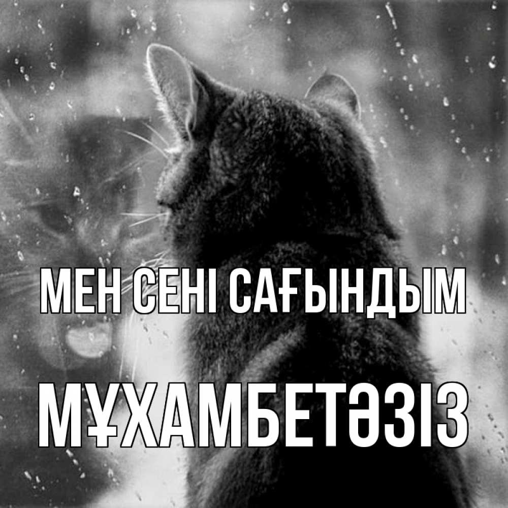 Күн сайын ашық хат с именем, МҰХАМБЕТӘЗІЗ Мен сені сағындым скорее ко мне приходи 1 Онлайн тегін жүктеп алу тілектері бар керемет карта 