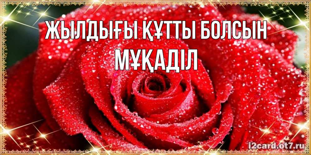 Күн сайын ашық хат с именем, МҰҚАДІЛ Жылдығы құтты болсын роса и роза. открытка с красивой розой Онлайн тегін жүктеп алу тілектері бар керемет карта 